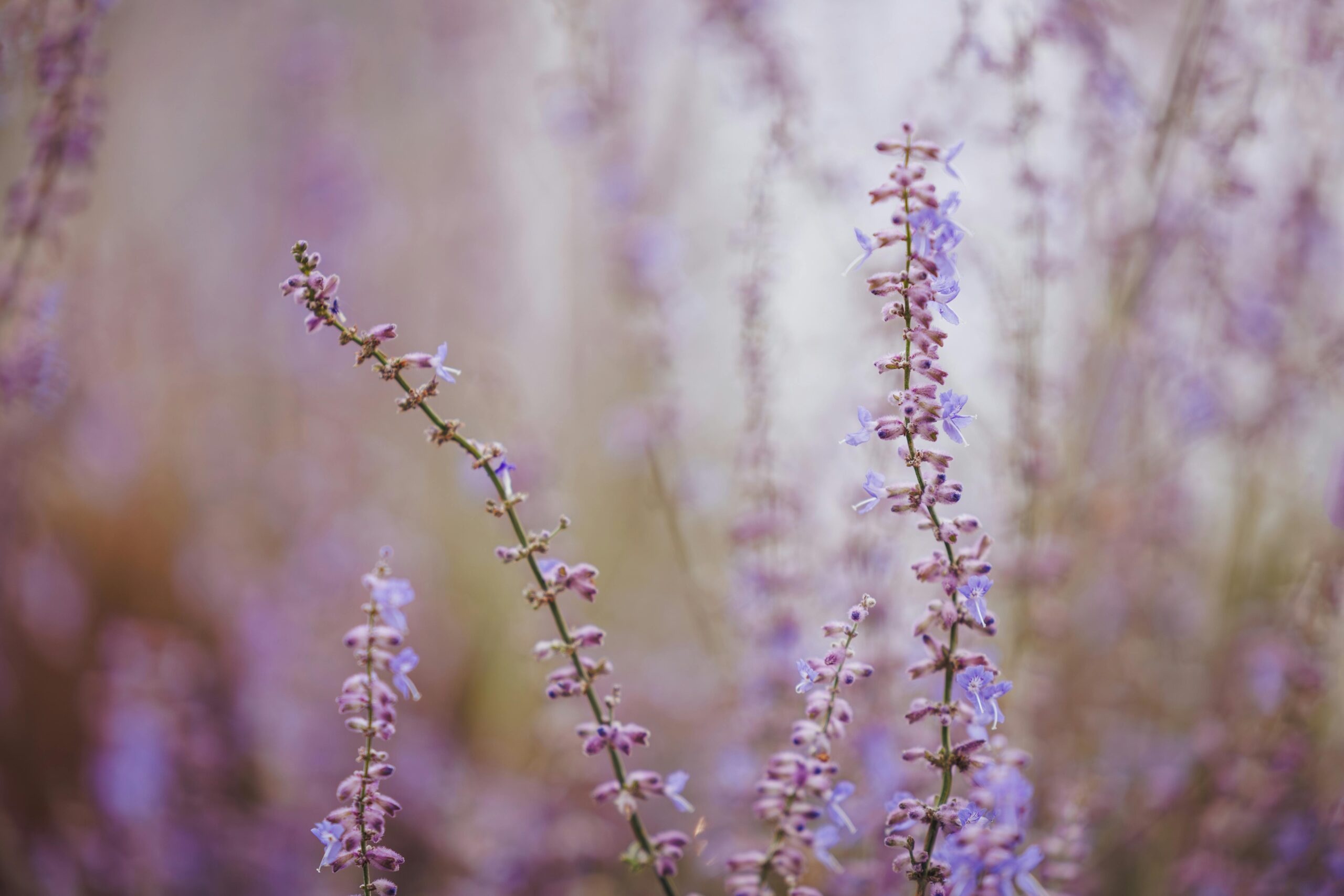 The Real SMART Power You Already Have